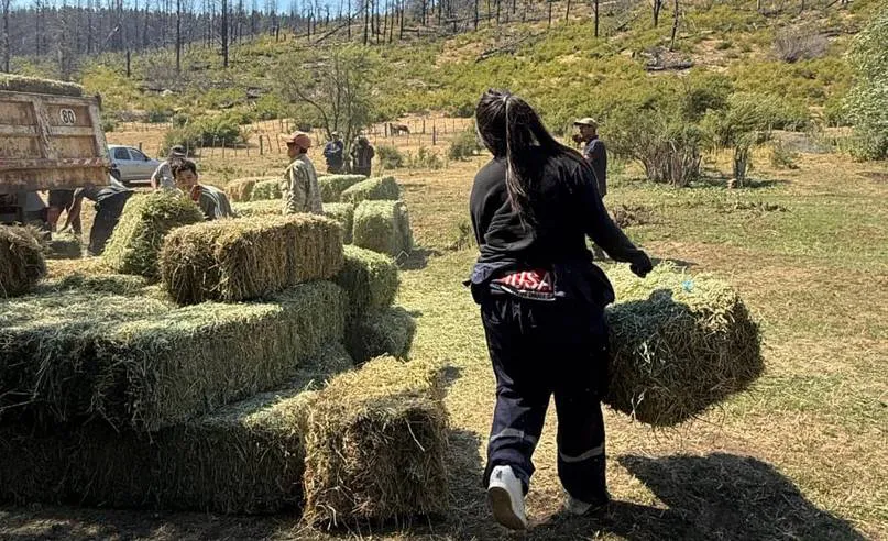 WhatsApp Image 2026-02-10 at 10.18.08