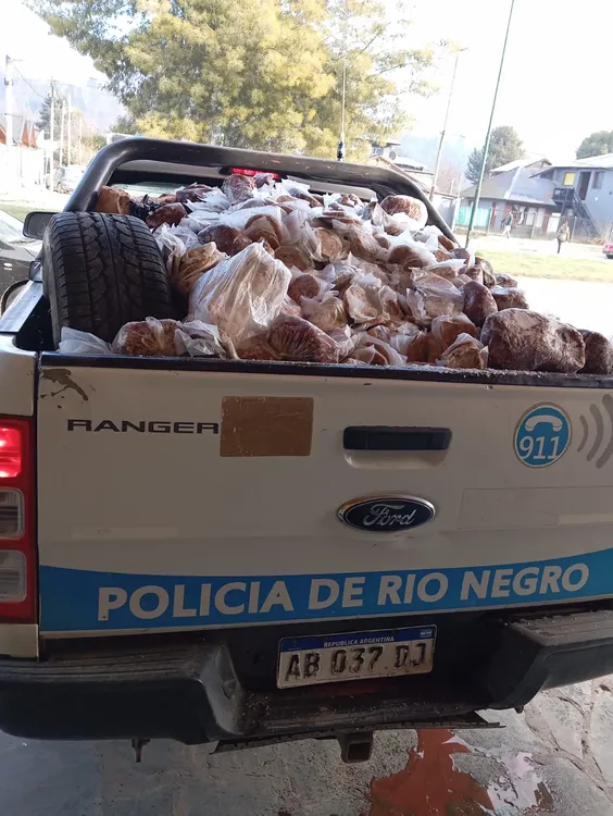 secuestro carne