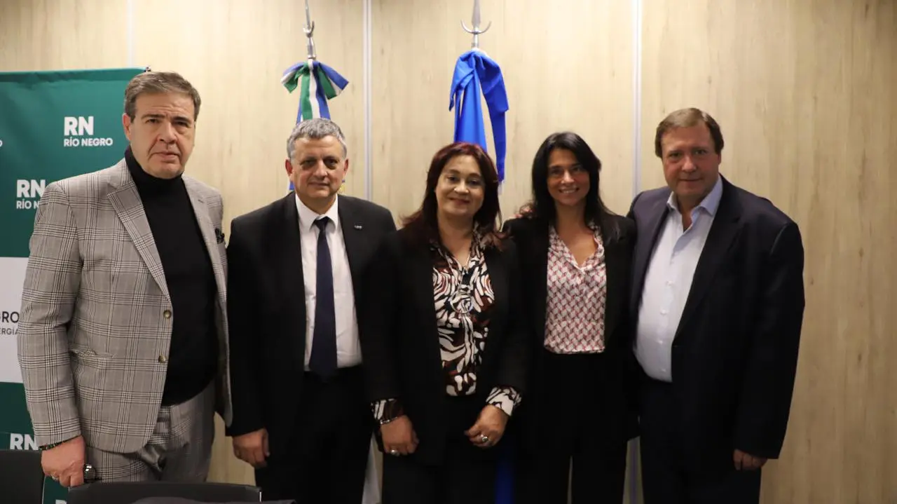 weretilneck presidente ypf