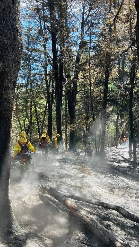 incendio los manzanos 4