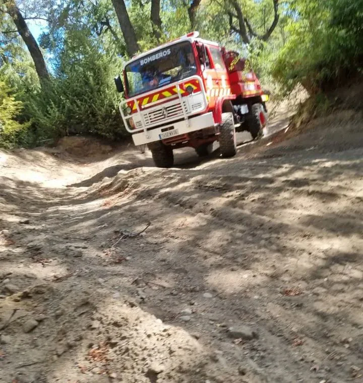 WhatsApp Image 2026-03-03 at 09.54.41