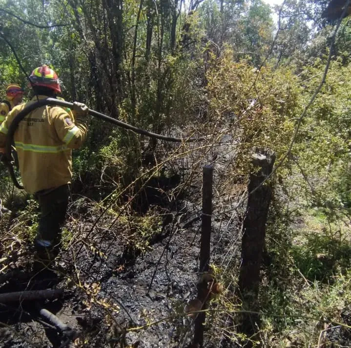 incendio saturnino 1
