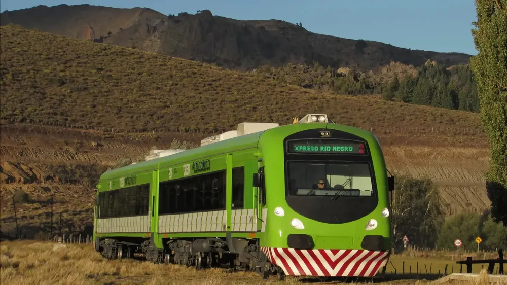 tren patagonico 1
