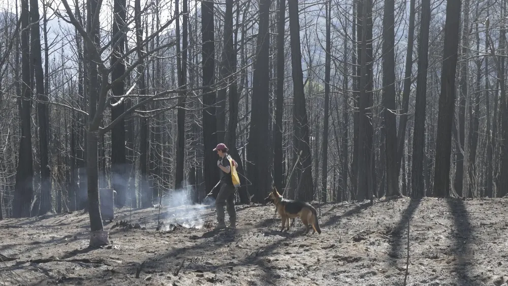 incendio el bolson 1