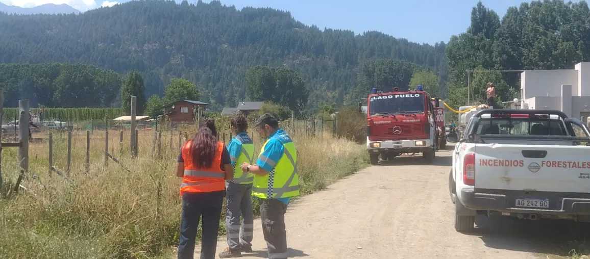 WhatsApp Image 2026-01-23 at 13.20.42