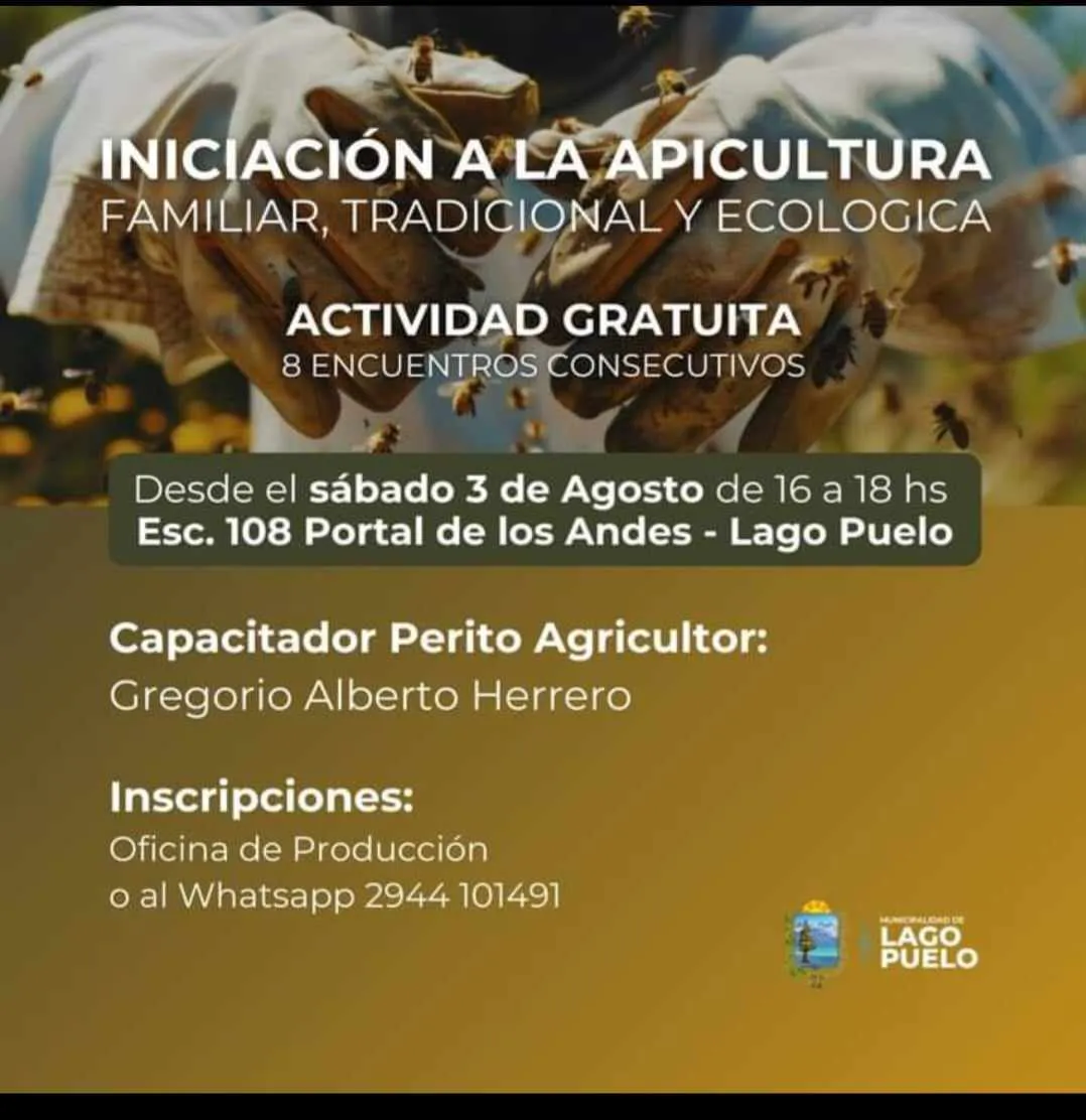 apicultura lp
