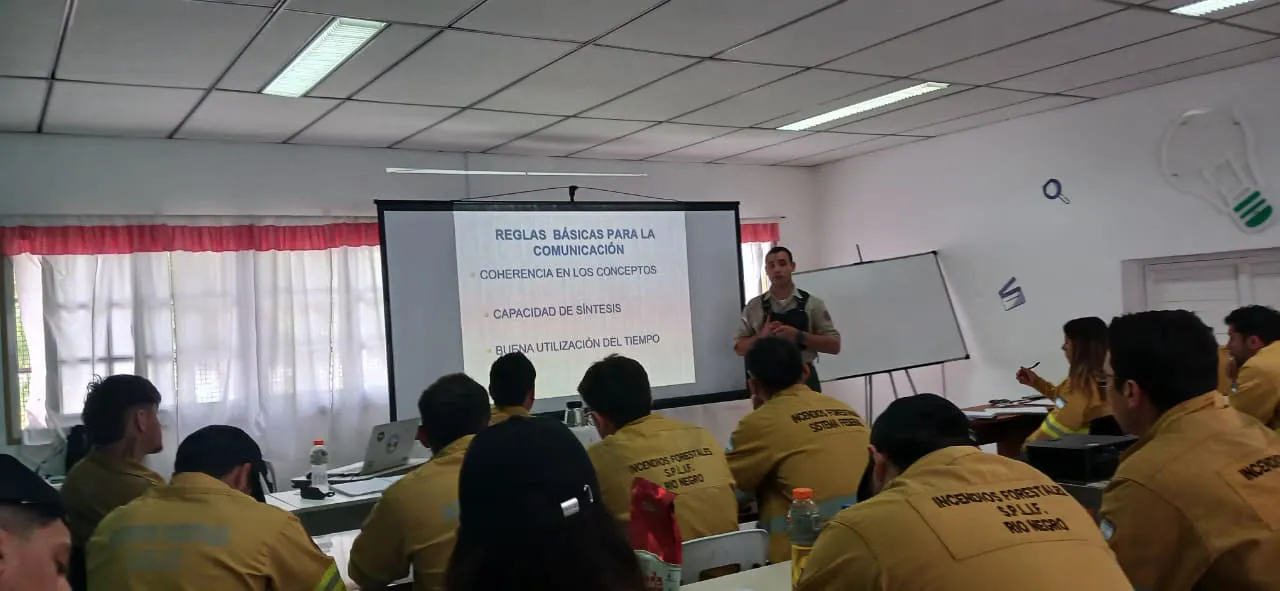 WhatsApp Image 2025-11-19 at 08.46.30