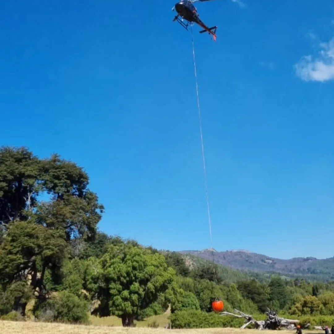 incendio lago menendez 17