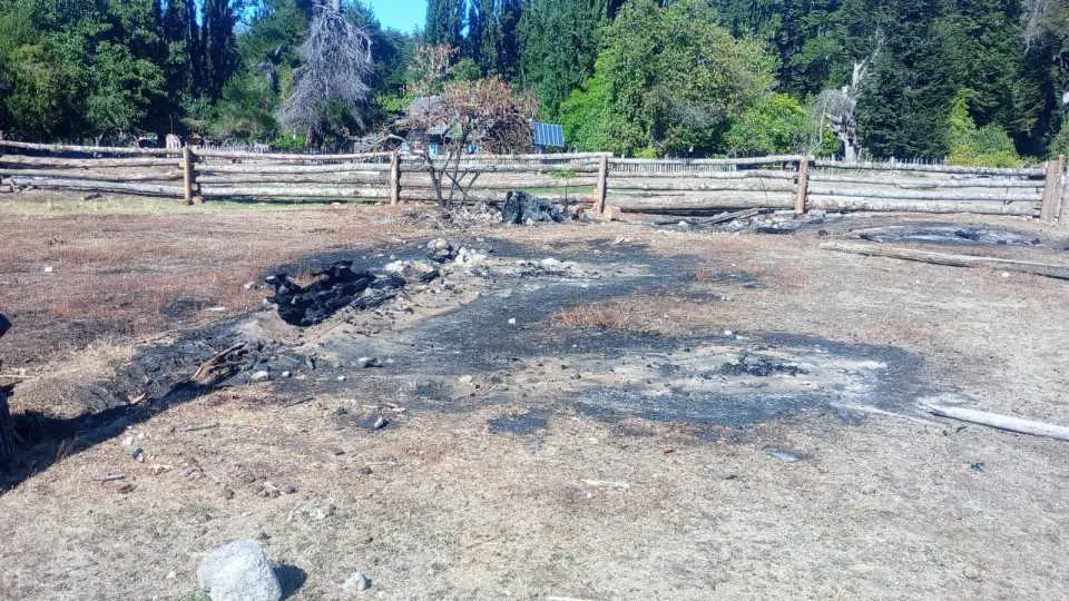 WhatsApp_Image_2026-02-06_at_14.59.22