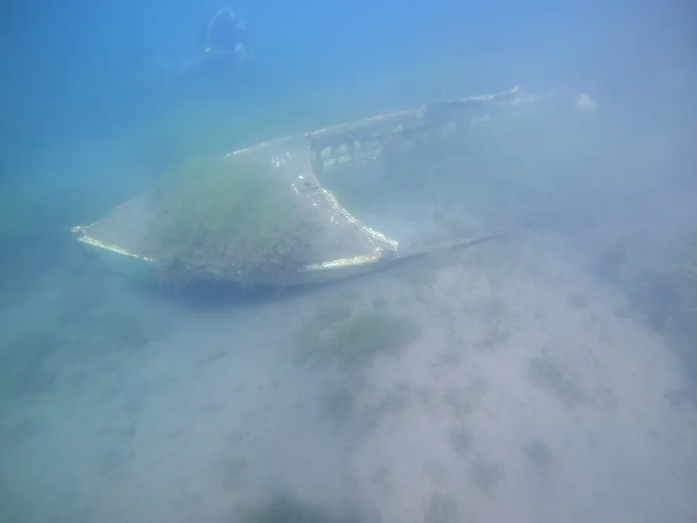 WhatsApp Image 2026-03-12 at 14.54.50 (1)