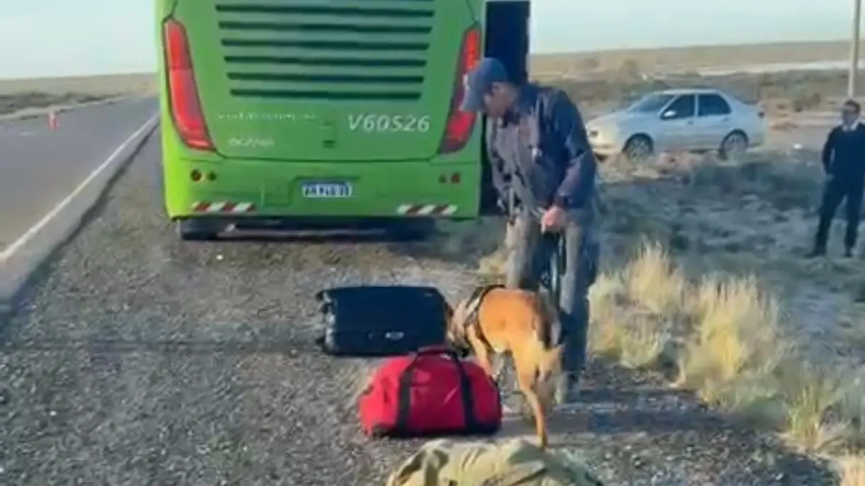 1775668560_f97a3ede6e41d50057ca