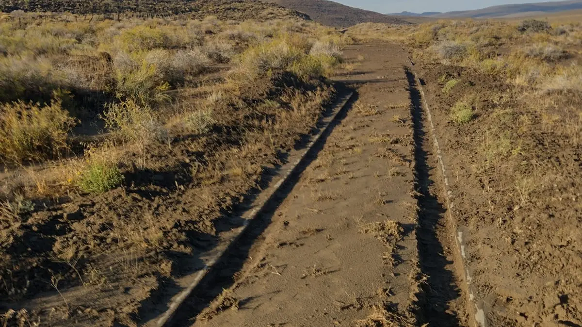 1769981809_3d9a15e57944040d942b