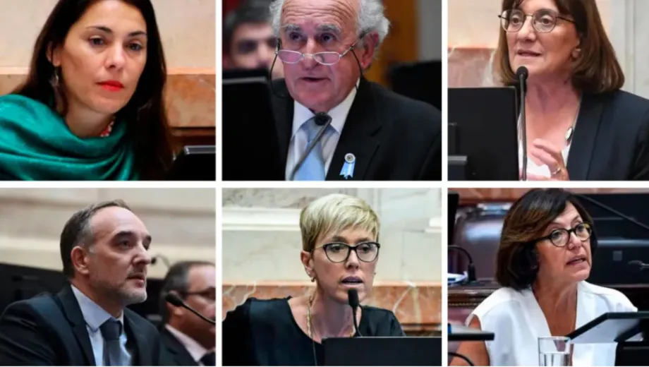 senadores-voto-armad-o