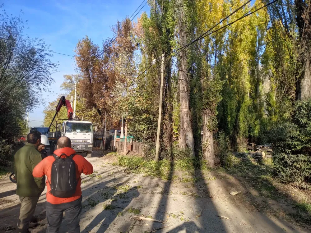 8c919a87-03cd-427c-8f7a-af2c1f17a331