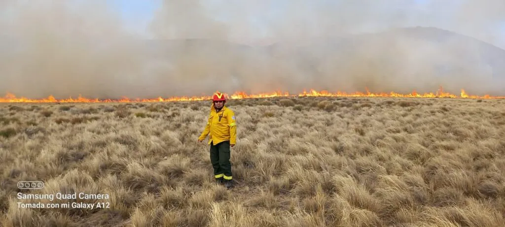 incendio fortin 2