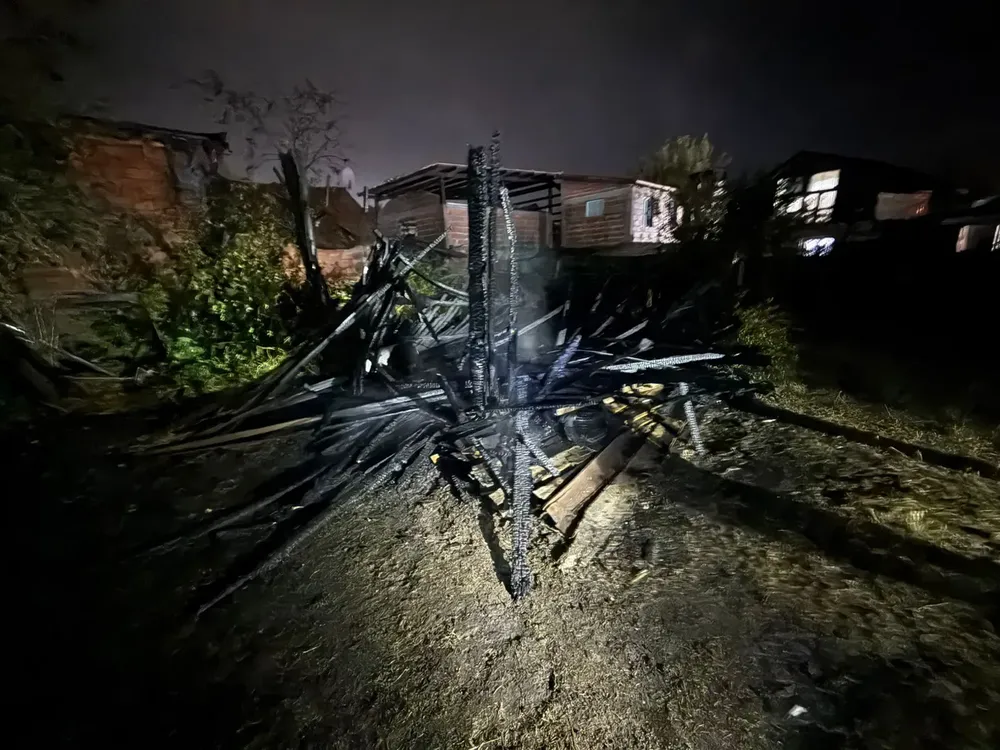 WhatsApp Image 2026-02-14 at 01.24.02