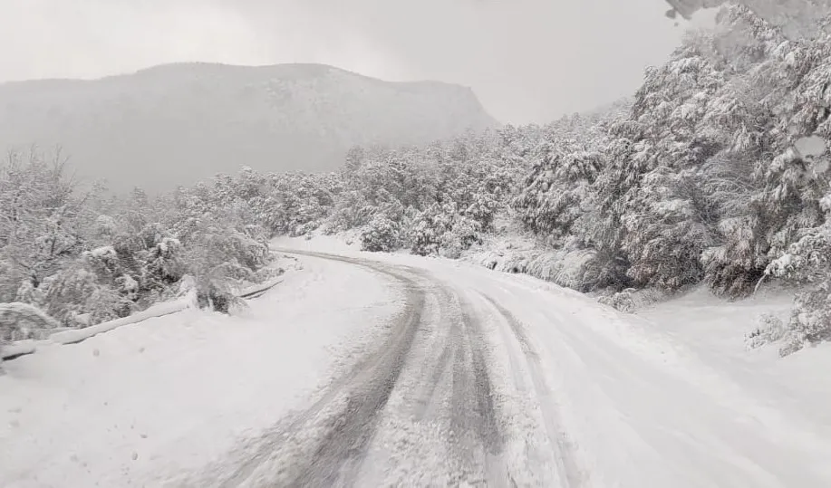 ruta 40 nieve 4 mayo