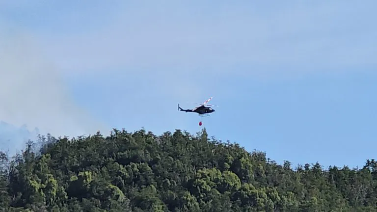 incendio los manzanos 95