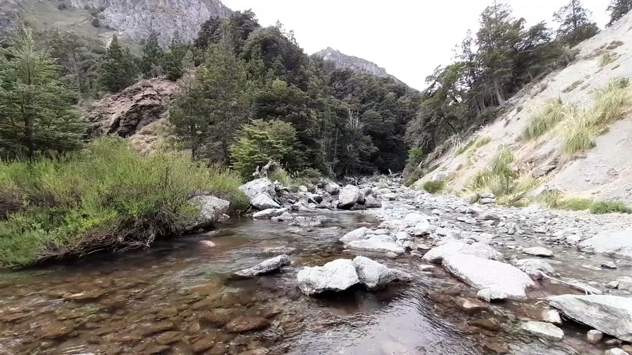 arroyo rincon