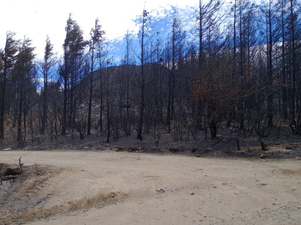 incendio epuyen 36