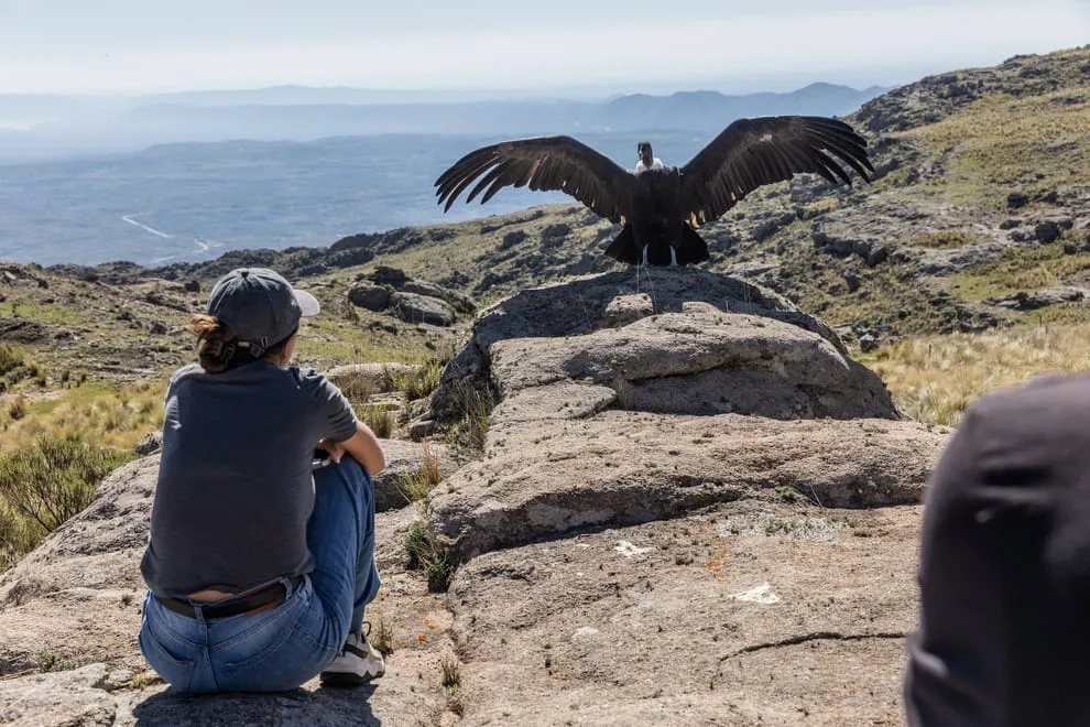 488159345_1040900378058905_1082051174831526800_n