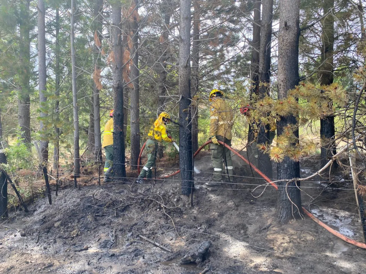 splif cuesta del ternero 2