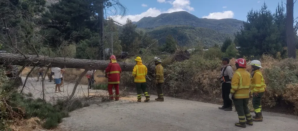 f2c6a8bb-66ee-4cbc-8037-cbd8667aad8e