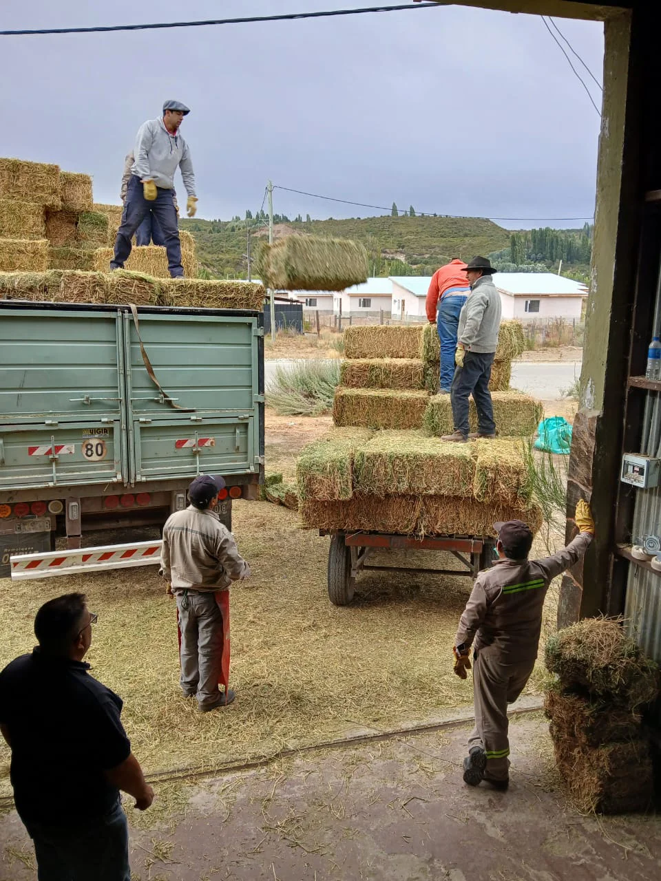 9a115579-8eb8-4f30-91b6-389bde5b3b2e