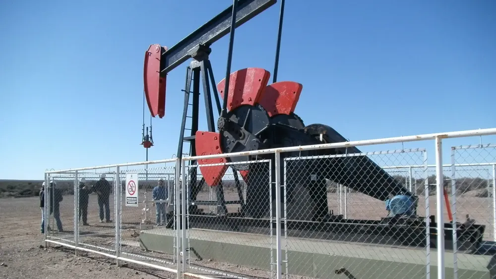 1769448662_6791b7ead4aa4d51de9f