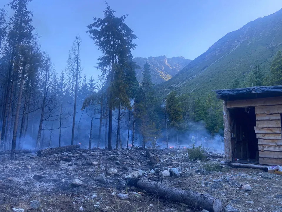 incendio pedregoso 2