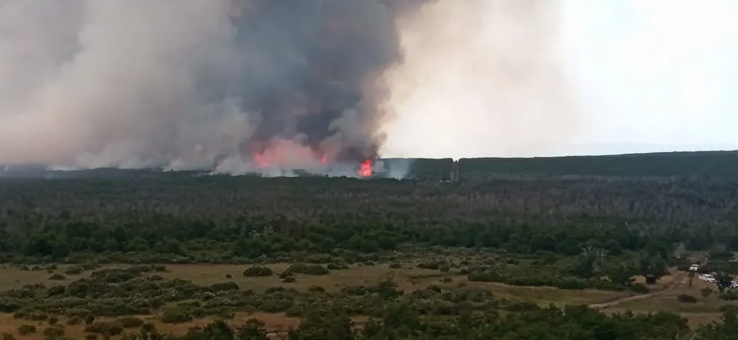 incendio viglione 5