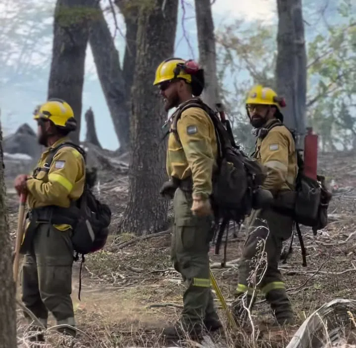 WhatsApp Image 2026-02-10 at 06.44.35