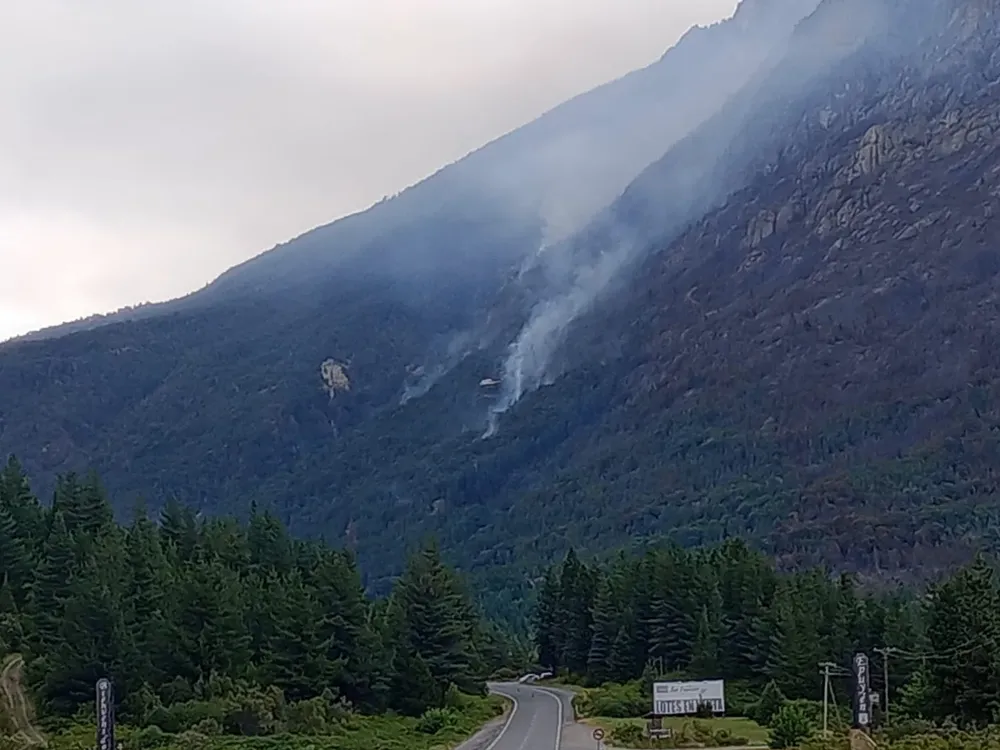 WhatsApp Image 2025-11-19 at 20.20.32