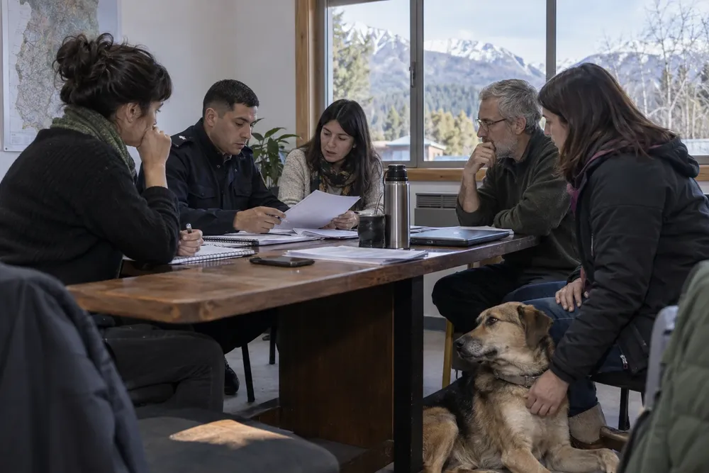 Imagen de Codex 14 sept 2026, 10_06_58