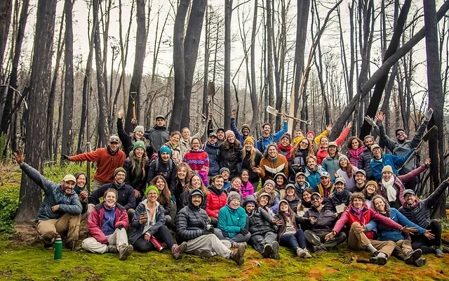 reforest 1 1