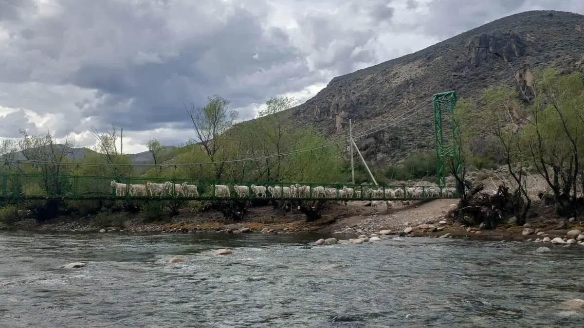 pasarela arroyo las minas 1