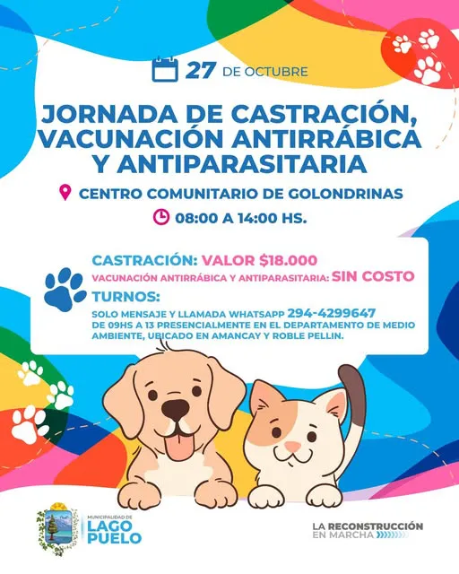 castracion lp oct