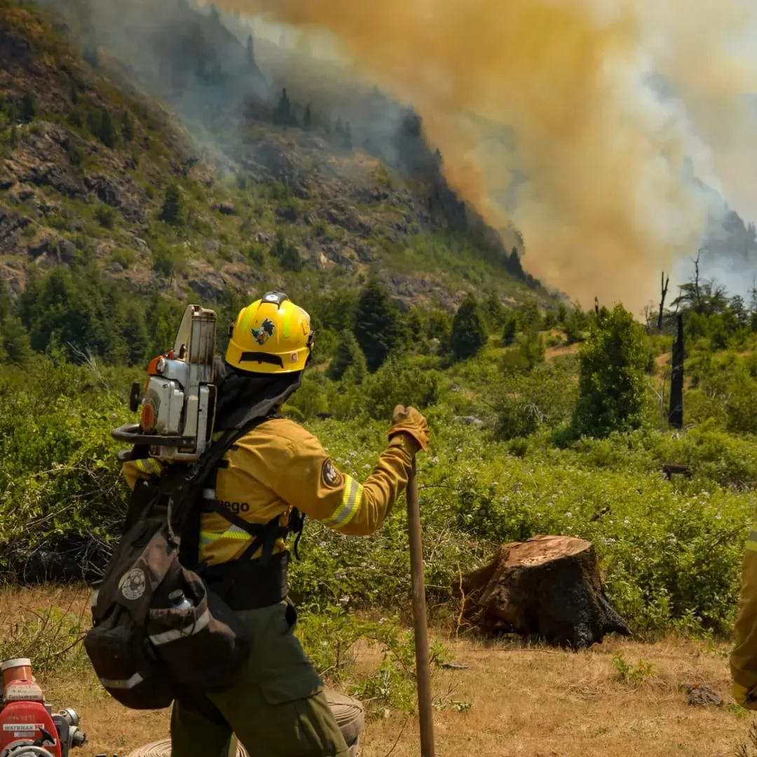incendio el turbio 31