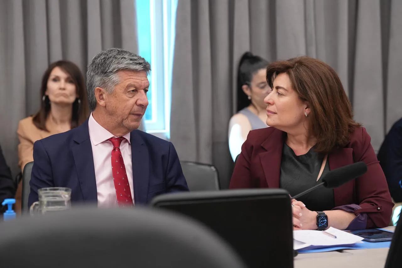 dip chubut