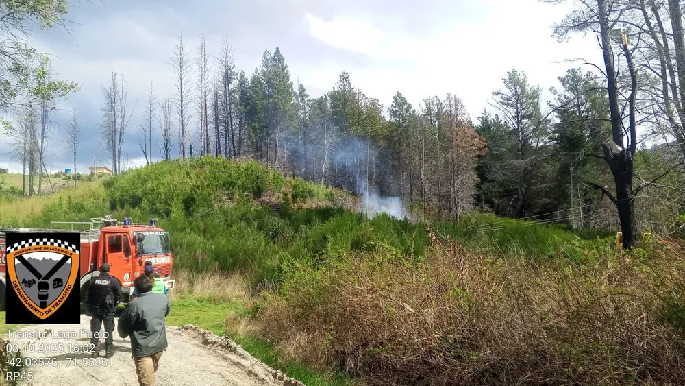 principio incendio radal