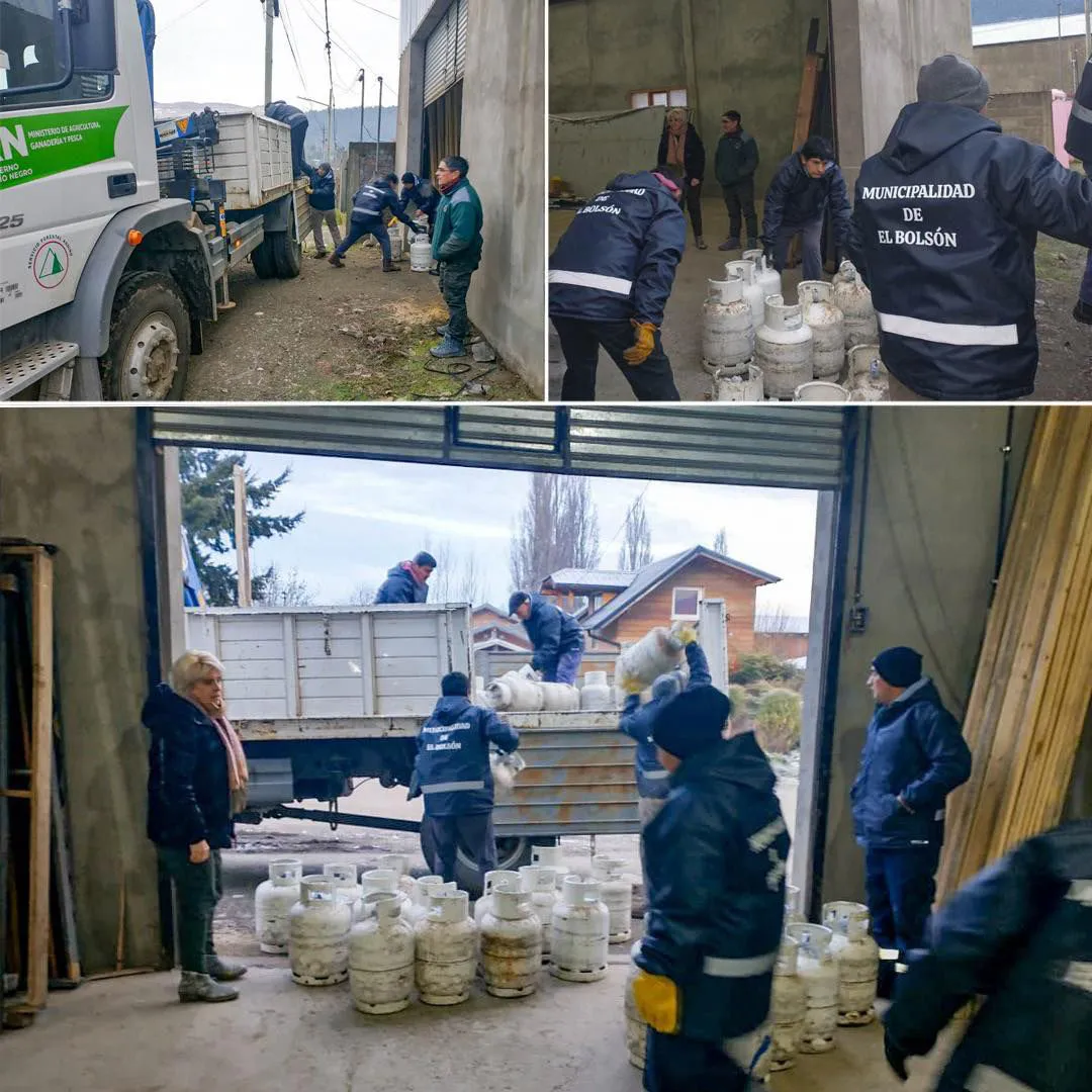 WhatsApp Image 2024-07-15 at 09.38.29