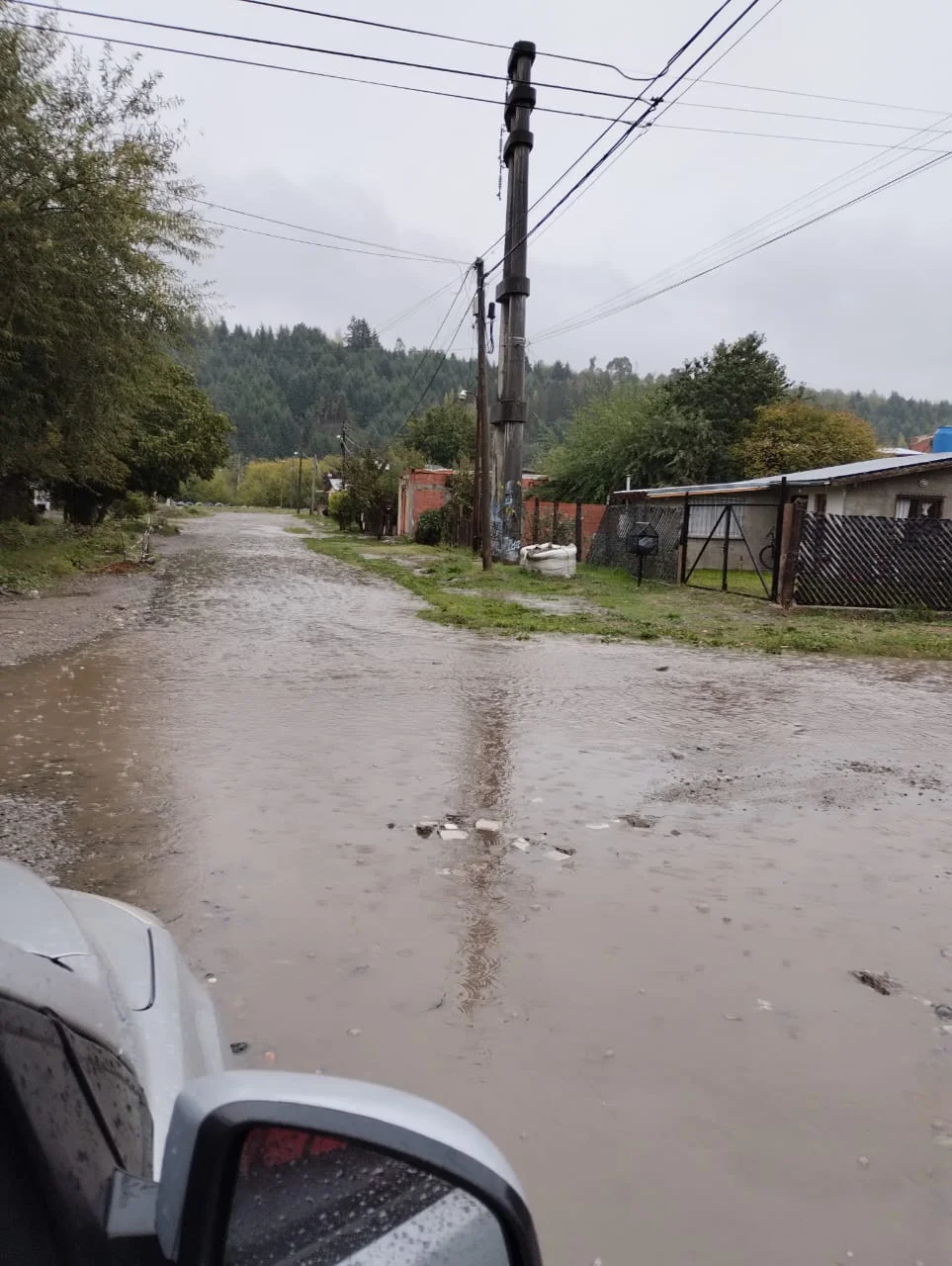 WhatsApp Image 2026-03-17 at 10.49.15