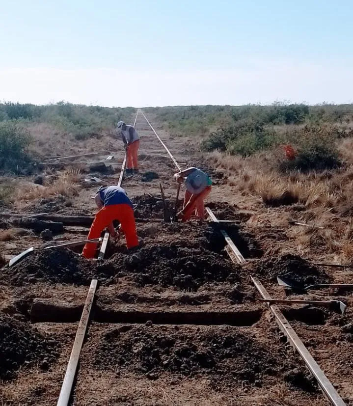 reparacion tren patagonico