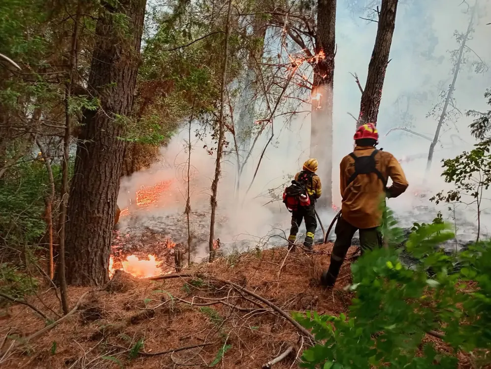 incendio patriada 41