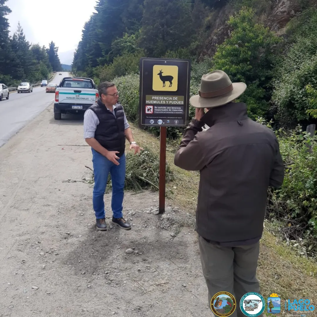 carteleria pudu puelo 2