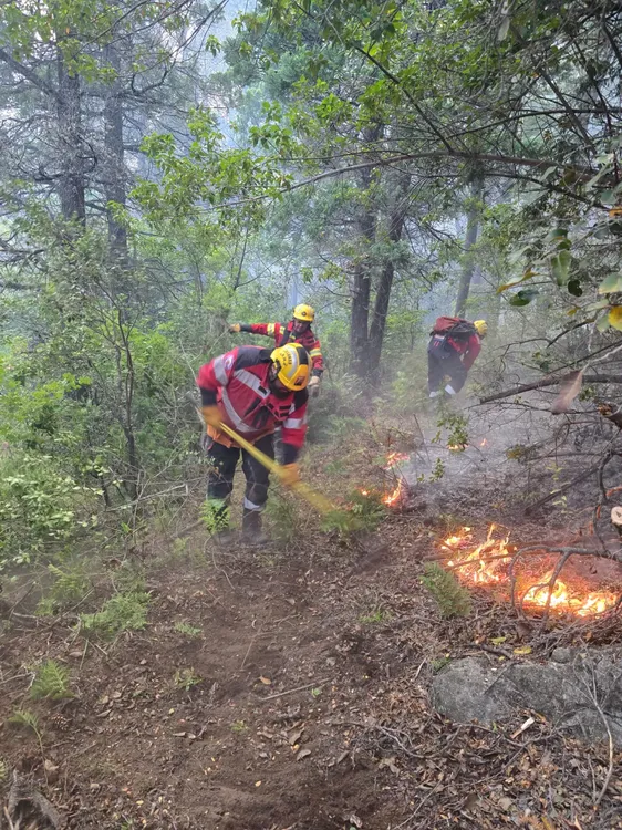 WhatsApp Image 2025-11-19 at 10.07.49 (1)