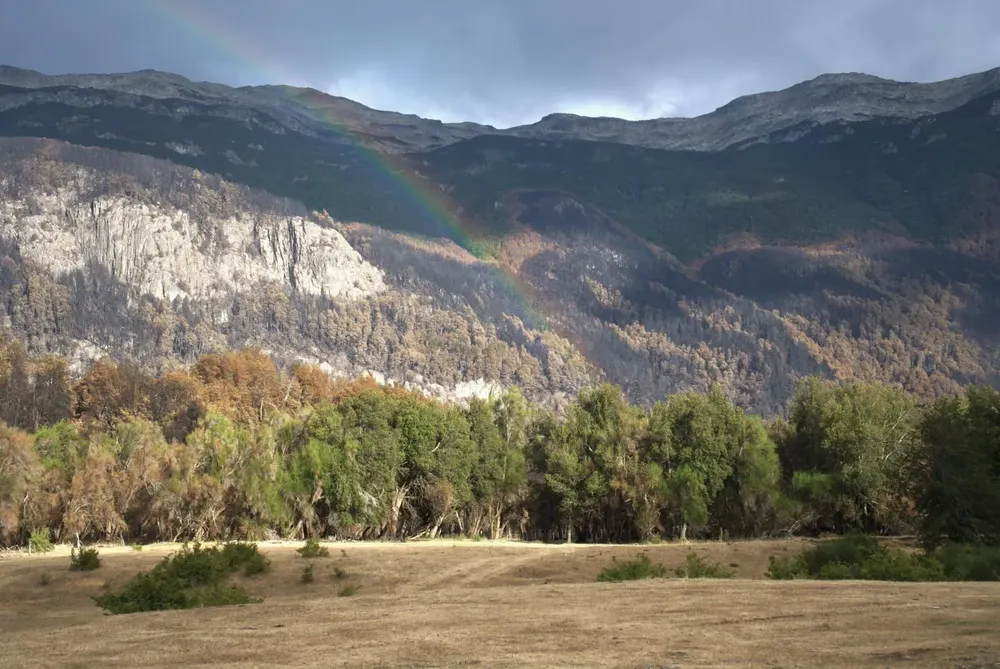 629072976_18341045932213196_5655141885402239394_n