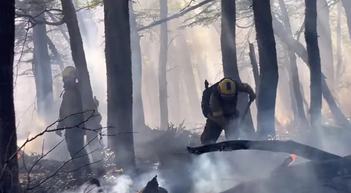 WhatsApp Image 2026-02-10 at 06.44.36