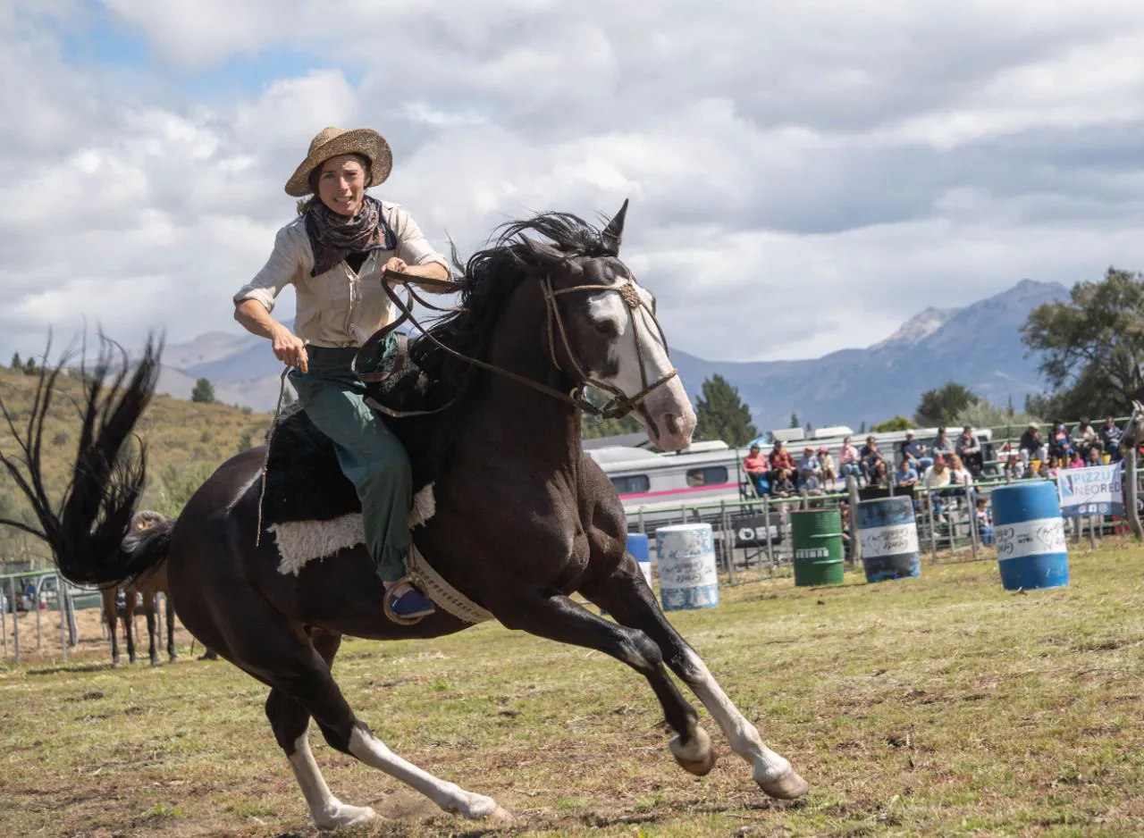 WhatsApp Image 2026-02-03 at 10.10.48 (3)