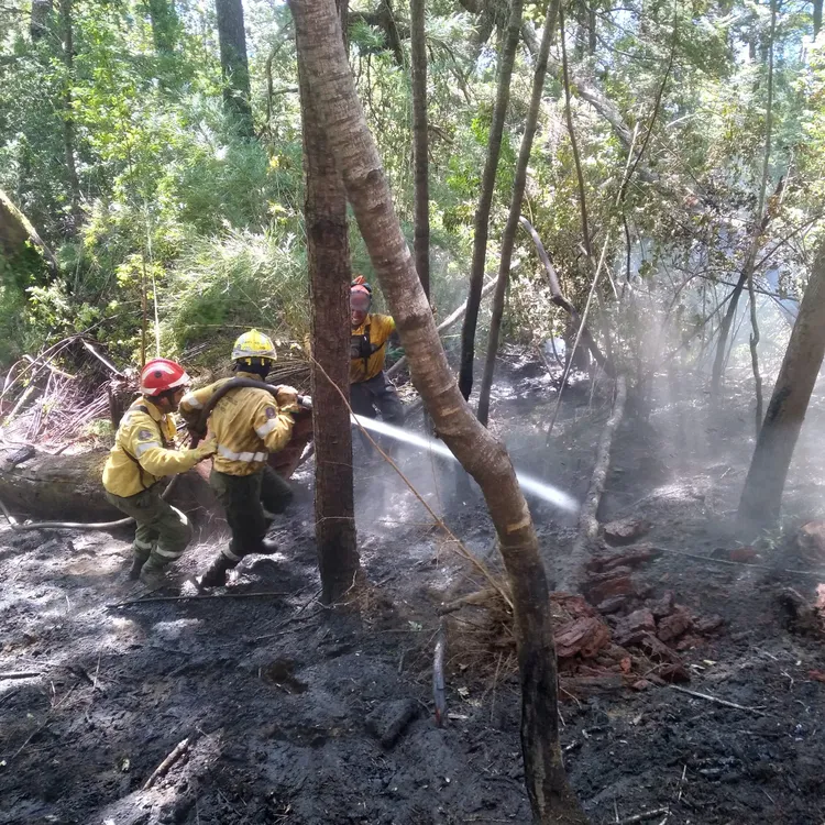 incendio brazo tristeza 26